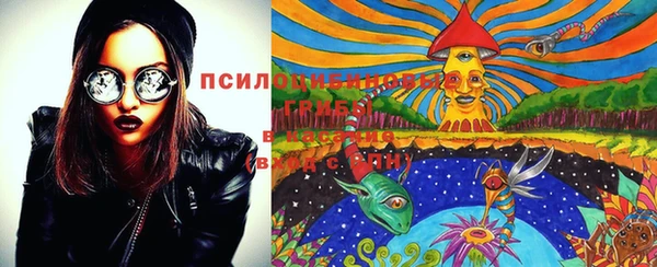 первитин Инсар