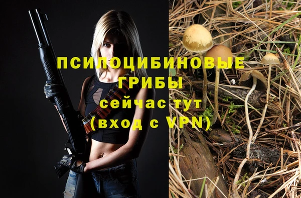 первитин Инсар