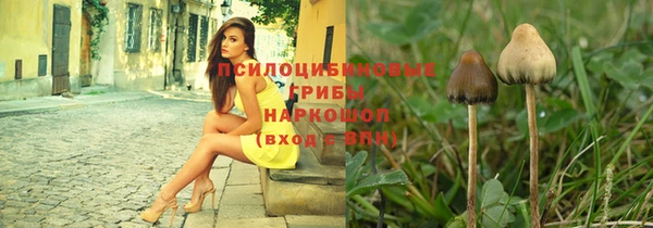 первитин Инсар
