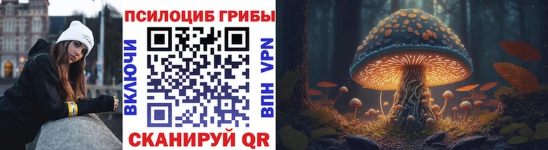 Галлюциногенные грибы мухоморы  Купить  Мамадыш 